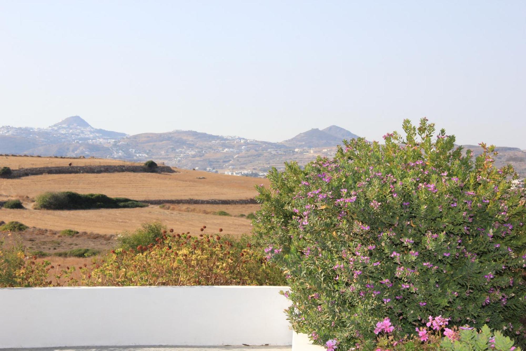 אדאמאס Margaritari Studios Milos חדר תמונה